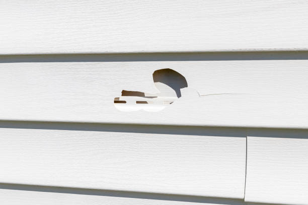 Best Steel Siding Installation  in Old Tappan, NJ