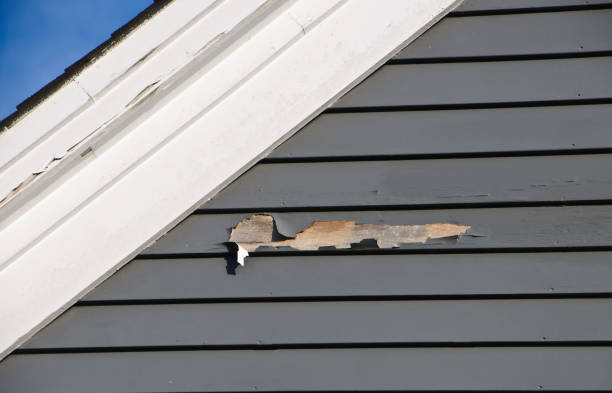 Best Brick Veneer Siding  in Old Tappan, NJ